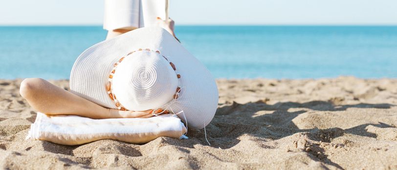 Seashell, Sea Life, Animal