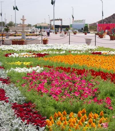حدائق الزهور في المدينة المنوّرة 