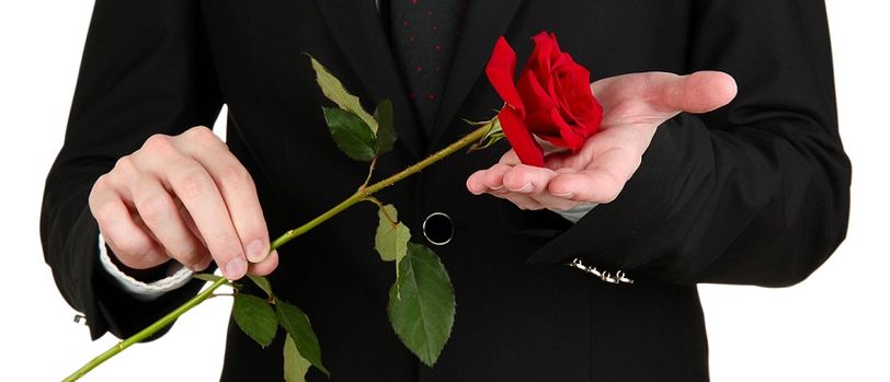 Rose, Plant, Flower