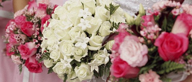 Floral Design, Graphics, Pattern
